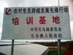 簡介：