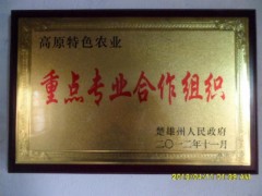 簡介：