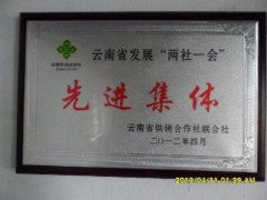 簡介：