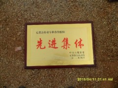 簡介：