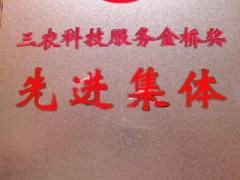 簡介：