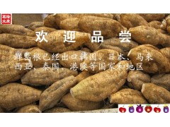 優(yōu)質(zhì)鮮葛根立等上市圖1