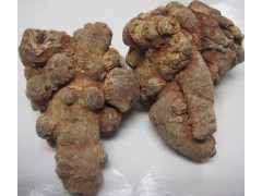 文山三七20頭批發(fā)圖1