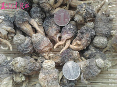 麗江有機(jī)瑪卡 特產(chǎn) 食品 保健 紫瑪卡大干果 紫卡圖1