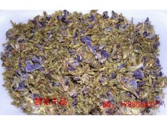 每年供應(yīng)葛根花10噸以上，請?zhí)崆邦A(yù)定。圖1