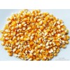 現(xiàn)金收購(gòu)玉米、大豆、高粱、棉粕、豆粕、小麥