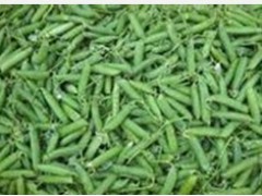 甜脆豌豆供應(yīng)信息圖1