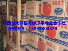 陜西冷庫紅富士蘋果產(chǎn)地新價格\嘎啦蘋果\花冠蘋果銷售價格圖3