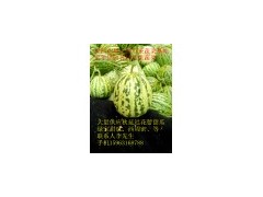 供應(yīng)莘縣花蕾1號(hào)甜瓜圖1