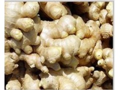 玉溪市新平蘭姜種植戶圖1