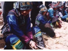 草編工藝誠(chéng)邀銷(xiāo)售圖2