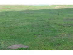 哪個休閑園度假、會務、娛樂、購物都可以圖3