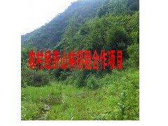 尋云南宣威山林轉租開發(fā)者0871-64155848圖2