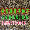 2015年中國廣州國際漁業(yè)博覽會(huì)