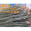 供應(yīng)2、3、4、5公分速生白蠟、速生國槐、榆樹