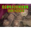 會(huì)澤瑪卡干鮮果主要有紫瑪卡干鮮果、黃瑪卡干鮮果。瑪卡干鮮果，歡迎廣大顧客前來(lái)訂購(gòu)