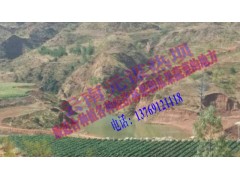 一元一平米的土地出租，種植各種經(jīng)濟(jì)林果和瓜果蔬菜理想的土地圖2