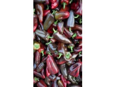 云南紅河辣椒供應(yīng)商圖1