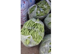 云南紅河菜豆供應(yīng)商圖1