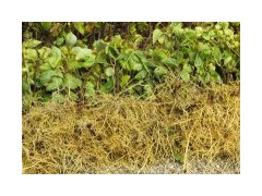 大量供應珙桐苗（水梨子、鴿子樹苗）圖2