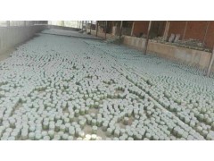 鐵皮石斛的種苗培育及其種植、銷售_免費(fèi)領(lǐng)取試種苗圖2