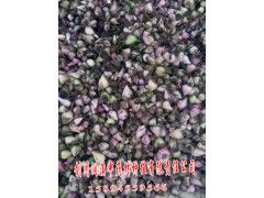 求購云南白芨種植技術免費指導__劍川潤滇中藥材種植有限公司圖3