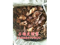 昆明石榴皮 祿勸石榴皮中藥材采購(gòu)行情圖2