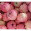 出售紅富士蘋(píng)果山東蘋(píng)果產(chǎn)地大量批發(fā)