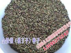 供應(yīng)金鐵鎖_金絲矮陀陀中藥材13987124018圖2