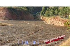 2016楚雄元謀土地多少錢一畝？_100畝土地招商,適合種植經(jīng)濟(jì)林果圖1