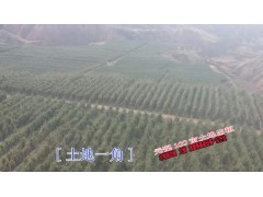 2016楚雄元謀土地多少錢一畝？_100畝土地招商,適合種植經(jīng)濟(jì)林果圖3