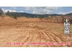 云南哪里的土地適合種植瓜果蔬菜？云南元謀350畝土出租圖1