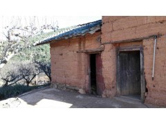 云南赤尾胡蜂,黃腳仔,黑胸胡蜂養(yǎng)殖_大黑蜂蜂王培育技術圖3