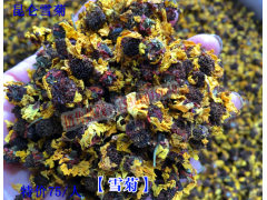 昆侖雪菊75元/斤_    [云南名貴中藥材批發(fā)市場]圖1