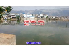 紅河彌勒市80畝漁塘優(yōu)轉(zhuǎn)——估計產(chǎn)值達20噸，接手即有收益圖3