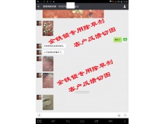 云南中藥材獨(dú)定子種植& 金鐵鎖專用除草劑*金鐵鎖苖后除草劑13987124018圖3