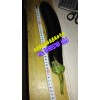 紅河玉米代辦服務(wù)商*紅河黑提代辦商家&紅河菜豆供應(yīng)%