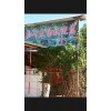 白胡椒粉怎么賣(mài),2016白胡椒面批發(fā)價(jià)格,* 黑白胡椒供應(yīng)