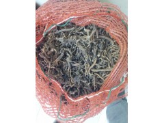 小草烏*小草烏種子行情價(jià)格@小草烏種子報(bào)價(jià)供應(yīng)商圖2
