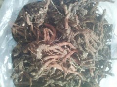 小草烏*小草烏種子行情價(jià)格@小草烏種子報(bào)價(jià)供應(yīng)商圖3