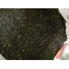 宣威小草烏種子圖片◆斷腸草|小草烏種植戶(hù)價(jià)格