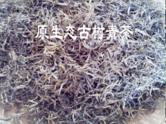 保山單株生散茶批發(fā)#古茶樹批發(fā)生采購價(jià)格圖2