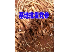 臭參銷售基地*云南臭黨參藥材供應(yīng)/昭通優(yōu)質(zhì)臭參圖1