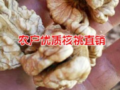 優(yōu)質(zhì)產(chǎn)地核桃行情價(jià)格*麗江核桃種植供應(yīng)商*農(nóng)戶自產(chǎn)自銷核桃圖1