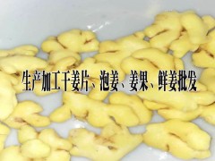 紅河屏邊鮮姜批發(fā)@云南紅河 哪里有生姜批發(fā)*紅河洲屏邊姜廠圖3