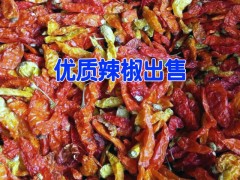鐵皮石斛|建水干辣椒價格|_建水中藥種植基地信息圖1