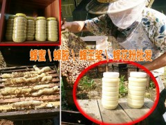 天然蜂膠多少錢|今年蜂膠的價格|今日蜂蜜行情價格宣威蜜蜂養(yǎng)殖圖2