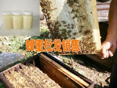 天然蜂膠多少錢|今年蜂膠的價格|今日蜂蜜行情價格宣威蜜蜂養(yǎng)殖圖3