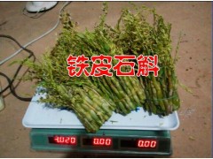 新騰沖鐵皮石斛供應價格@鐵皮石斛騰沖種植戶&騰沖楓斗圖1