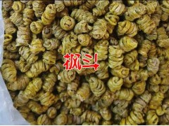 新騰沖鐵皮石斛供應價格@鐵皮石斛騰沖種植戶&騰沖楓斗圖3